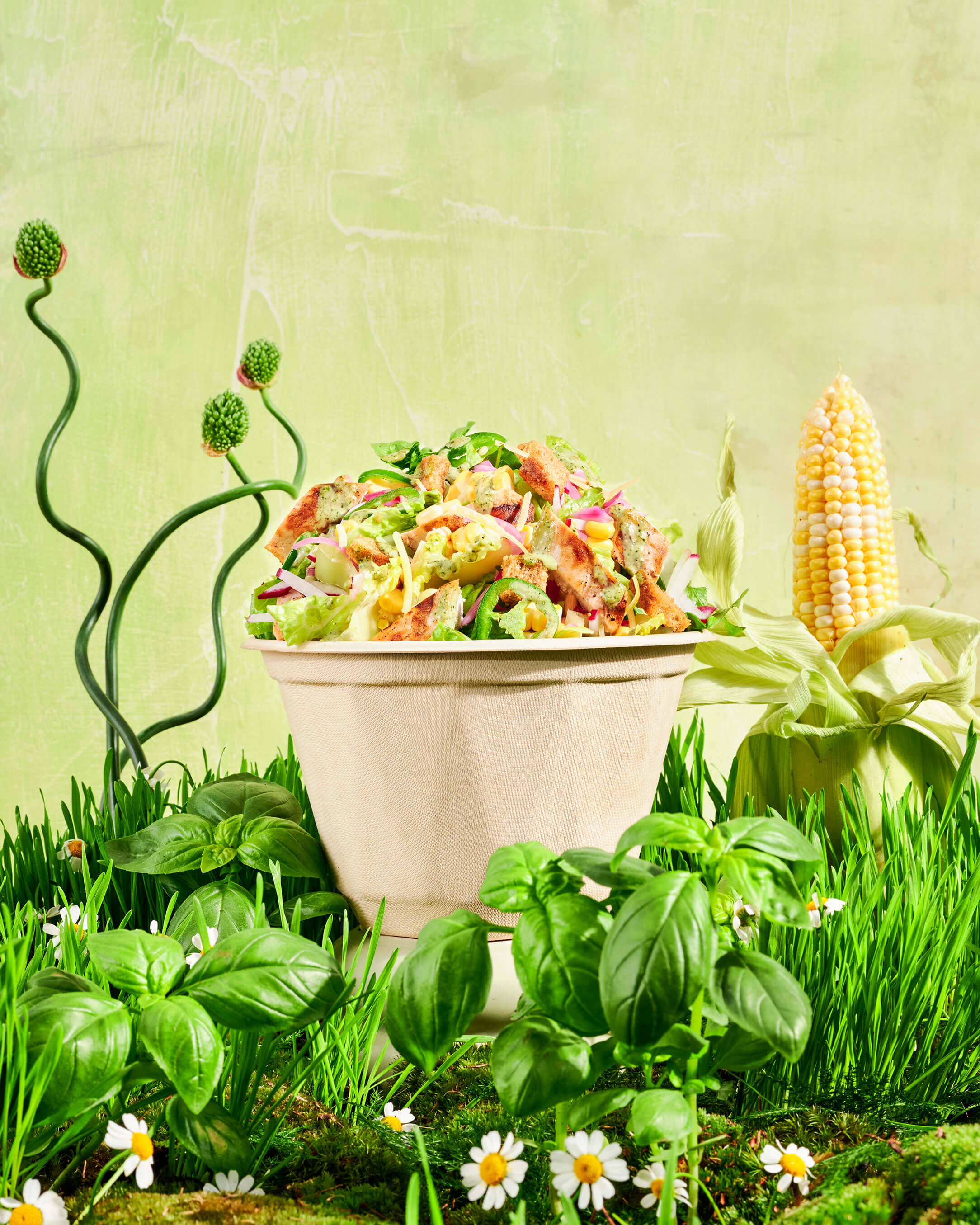 Chopt Summer 2024