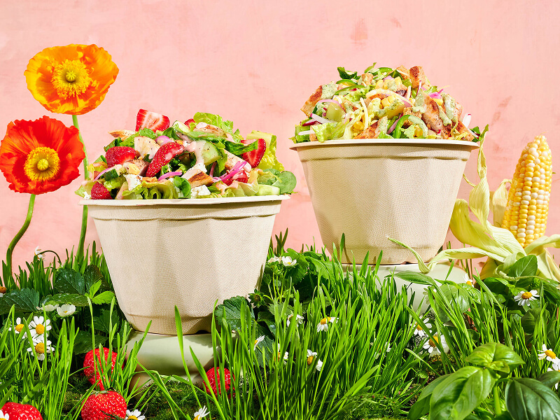 Chopt Summer 2024