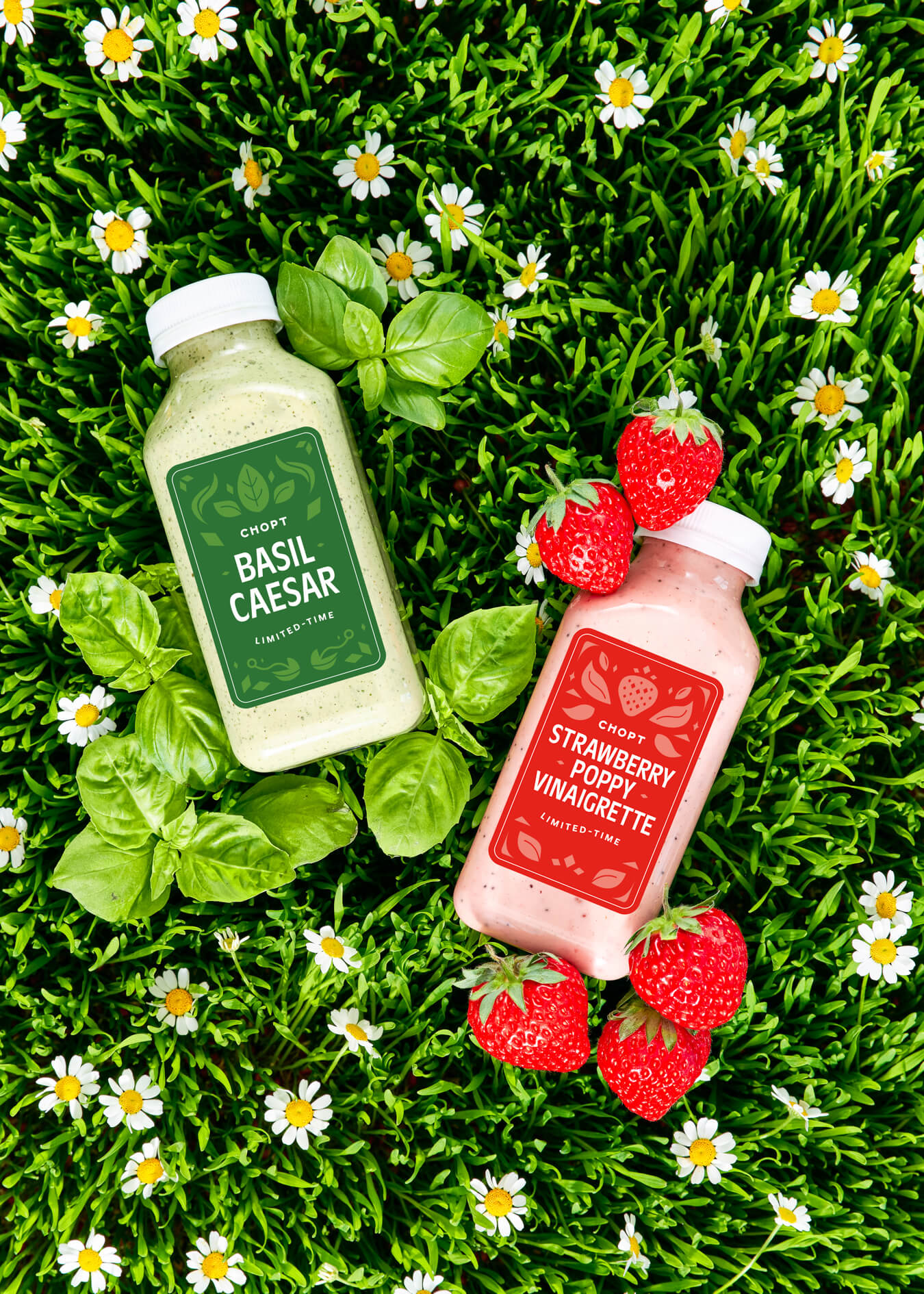 Chopt Summer 2024