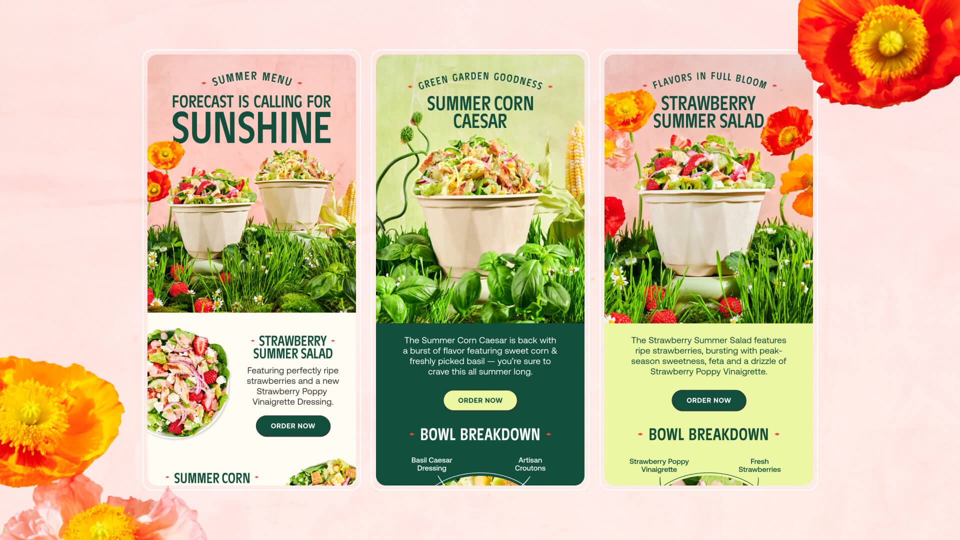 Chopt Summer 2024
