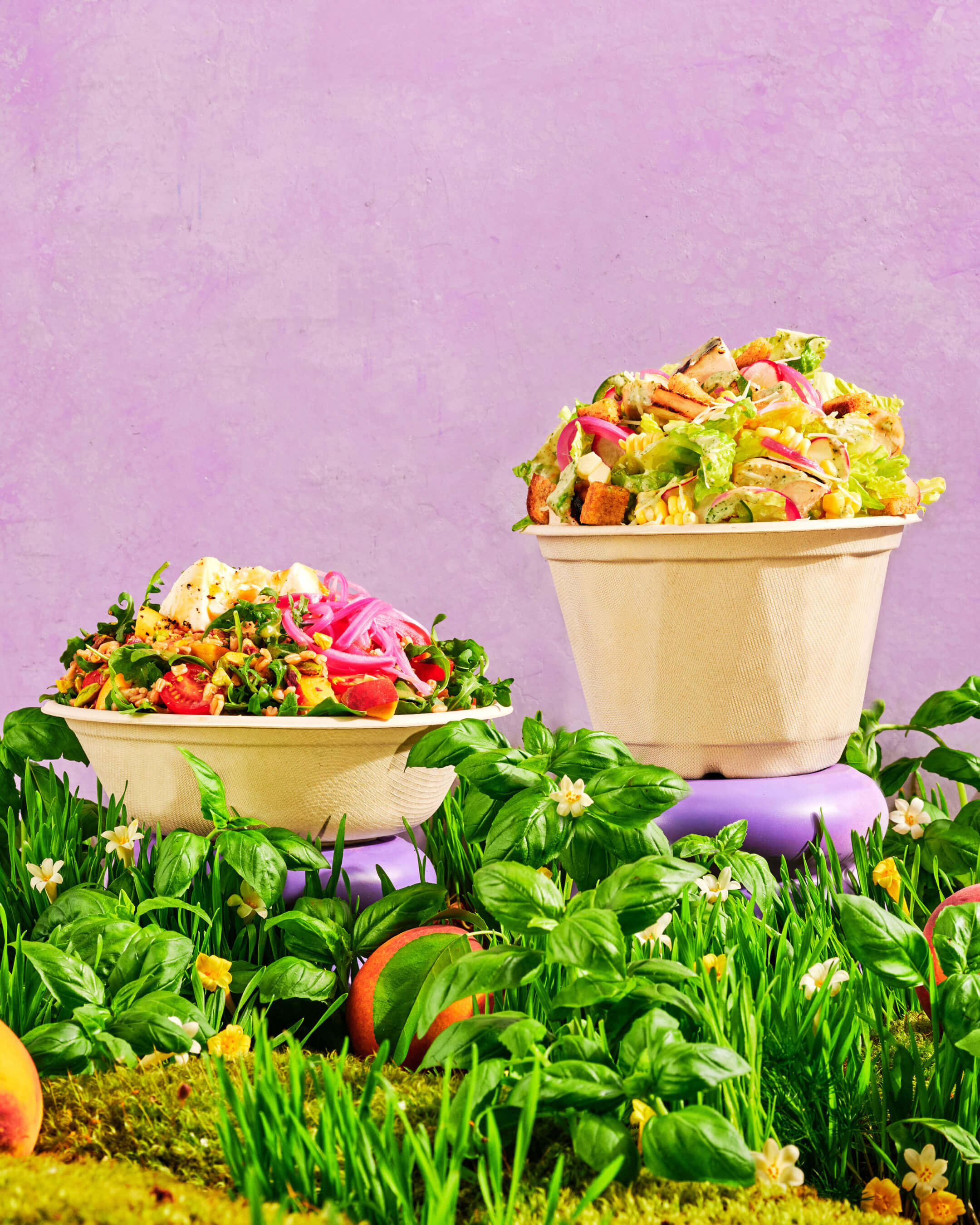 Chopt Summer 2025