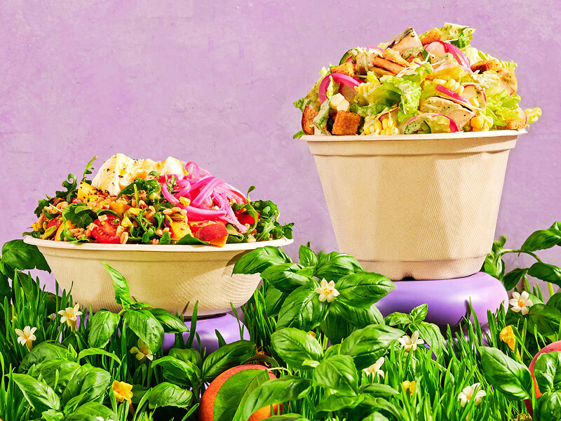 Chopt Summer 2025