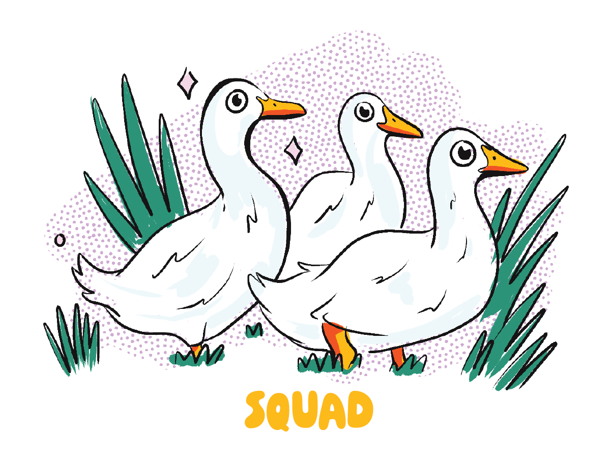 Squad