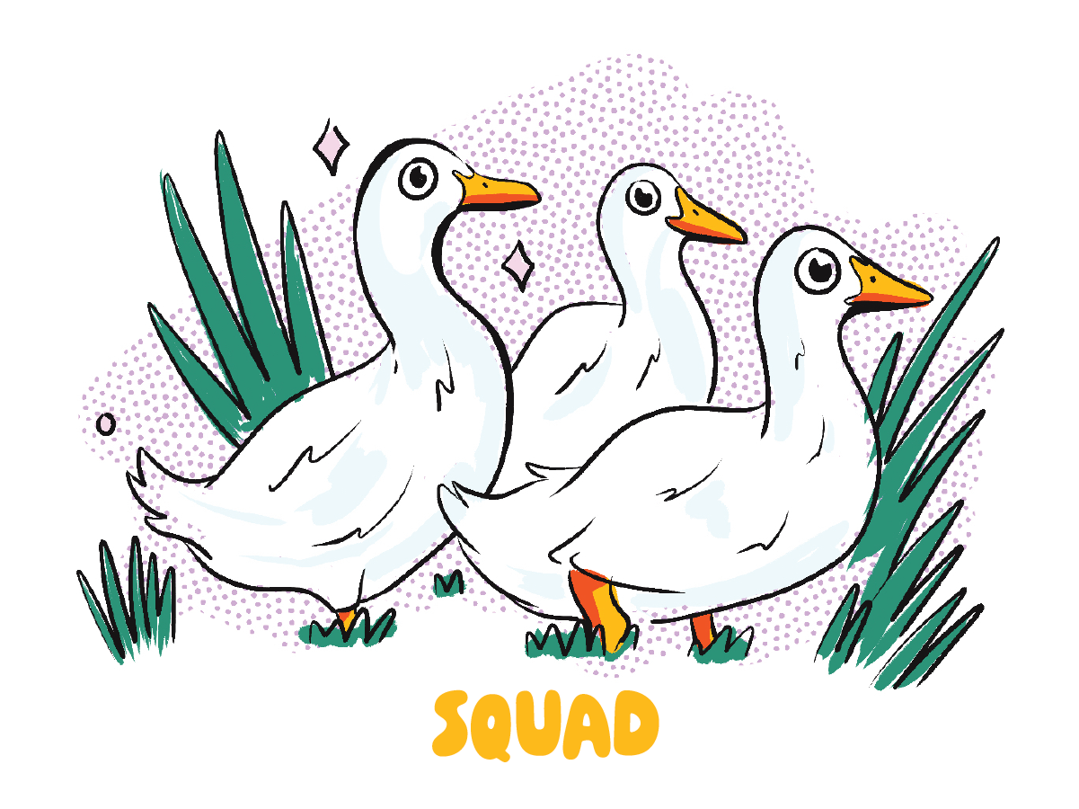 Squad